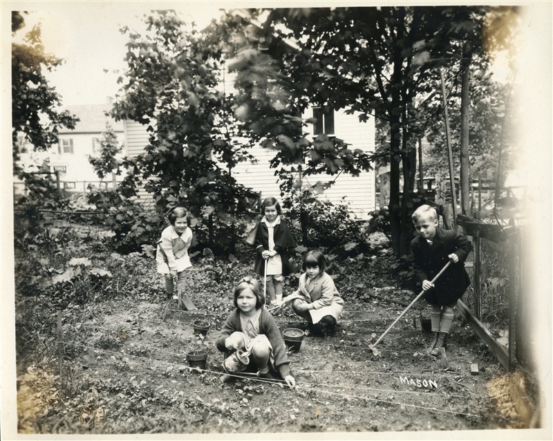 Tending the Garden